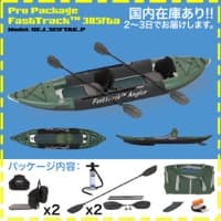 FastTrack™ 385fta Angler (Pro)